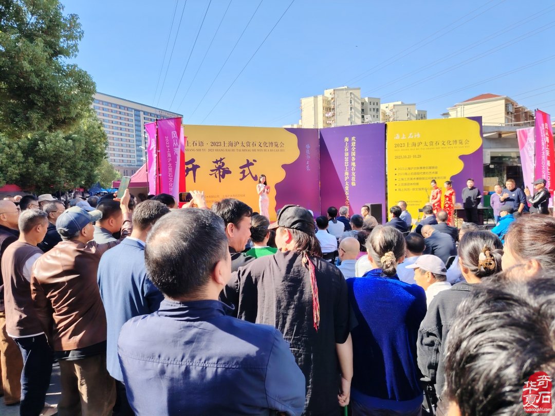 上海市观赏石协会为何今年秋不举办沪太石展