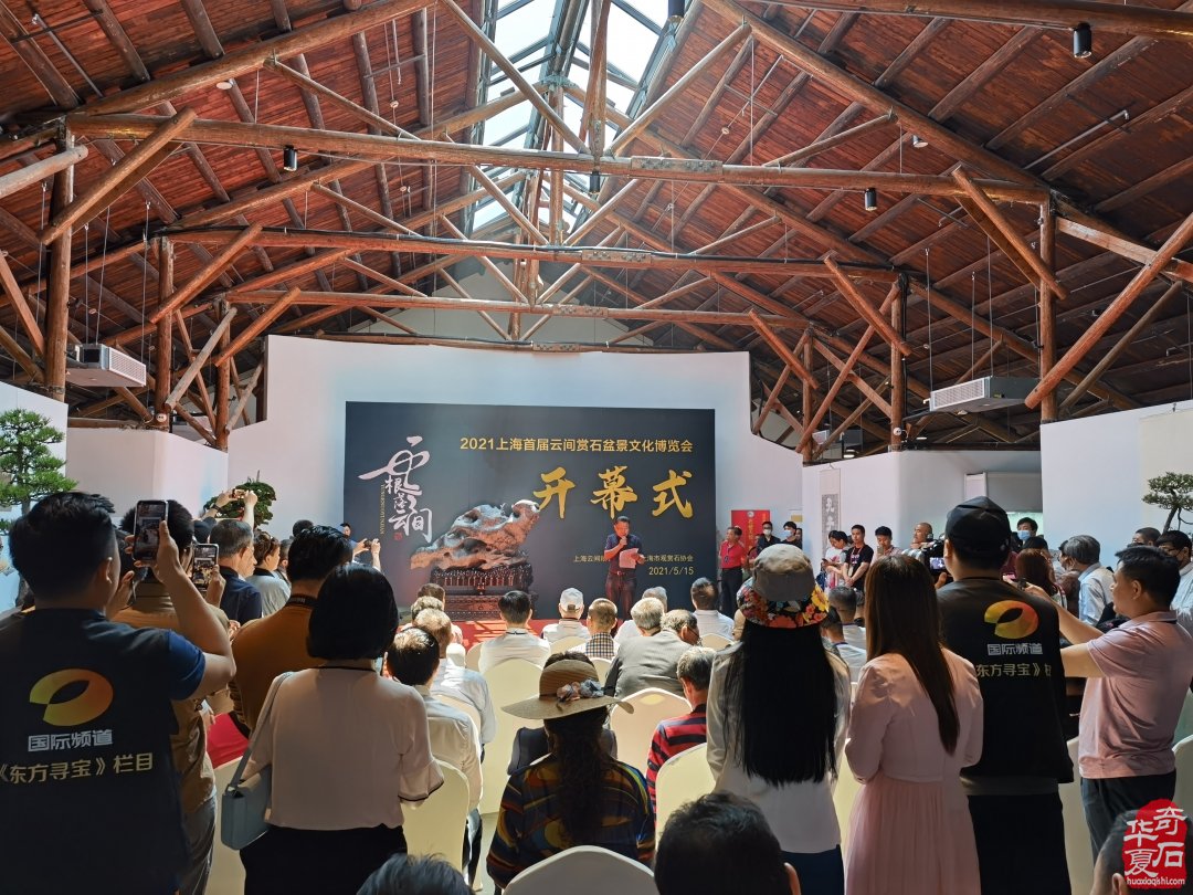 上海市观赏石协会为何今年秋不举办沪太石展