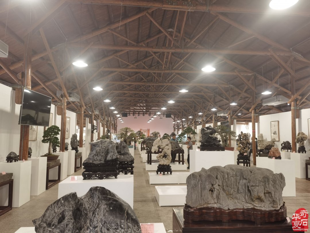 上海市观赏石协会为何今年秋不举办沪太石展