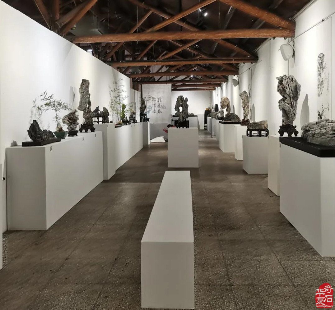 上海市观赏石协会为何今年秋不举办沪太石展