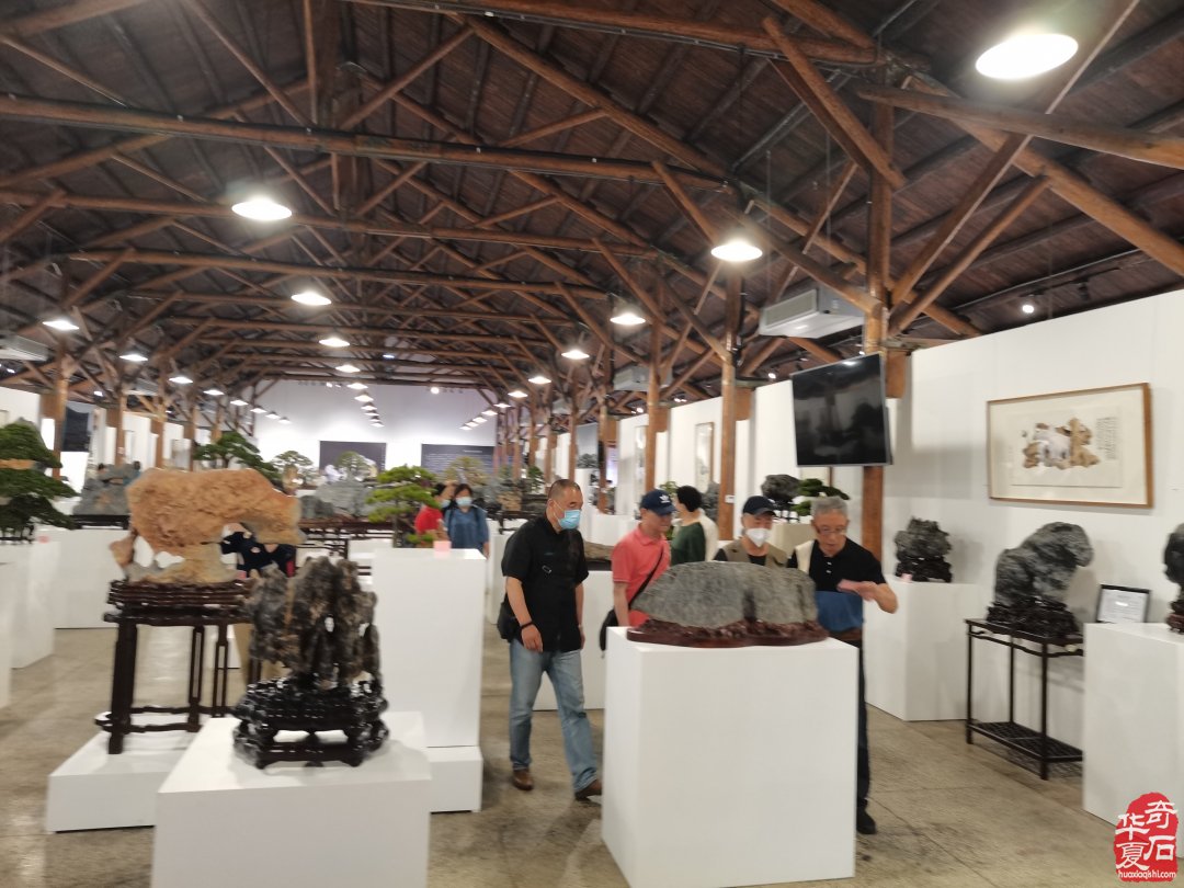 上海市观赏石协会为何今年秋不举办沪太石展