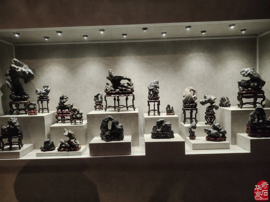 上海市观赏石协会为何今年秋不举办沪太石展