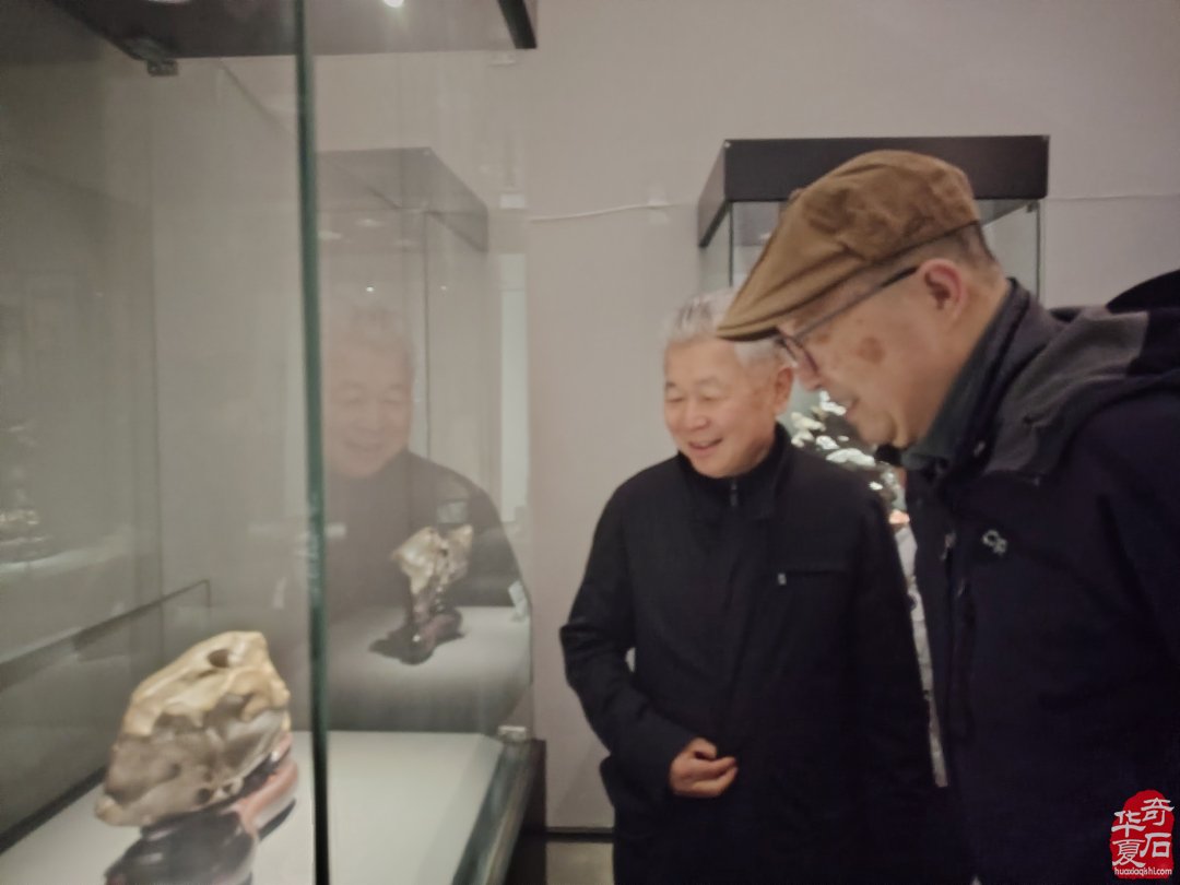 上海市观赏石协会为何今年秋不举办沪太石展