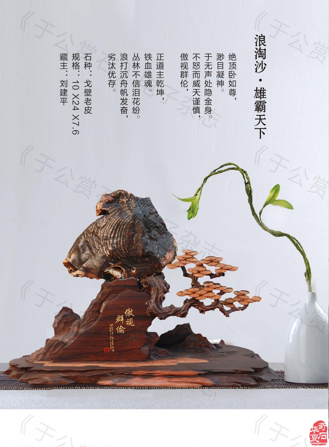 《于公赏石》力推石界默默耕耘的玩家藏家