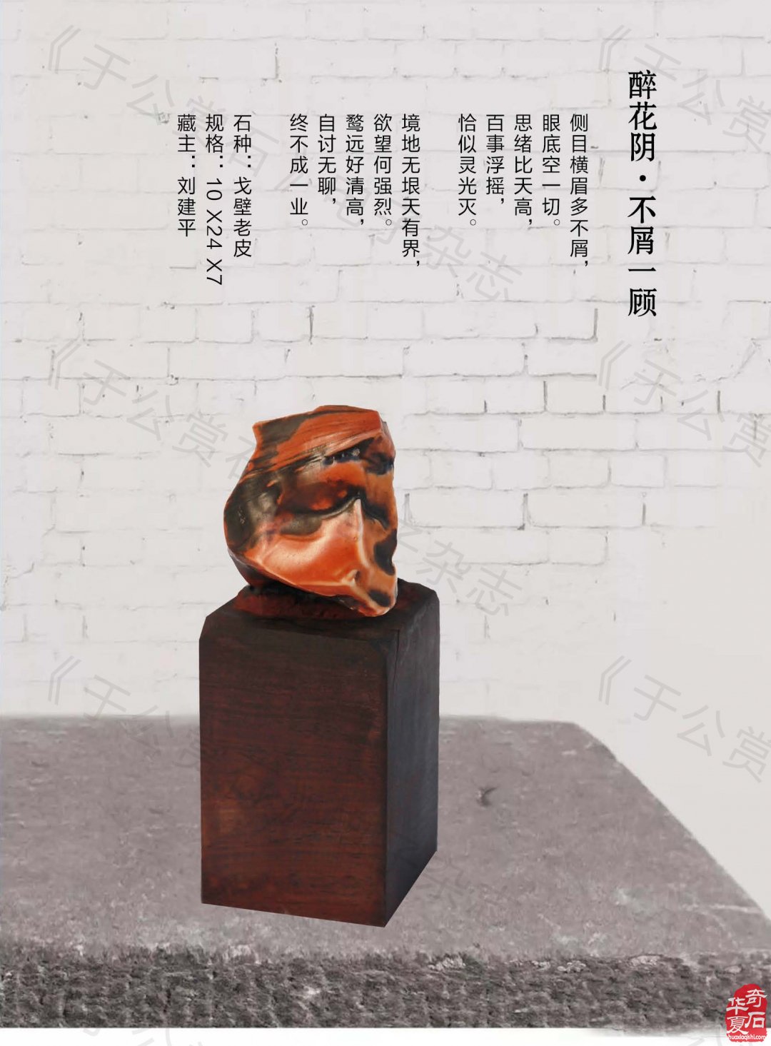 《于公赏石》力推石界默默耕耘的玩家藏家