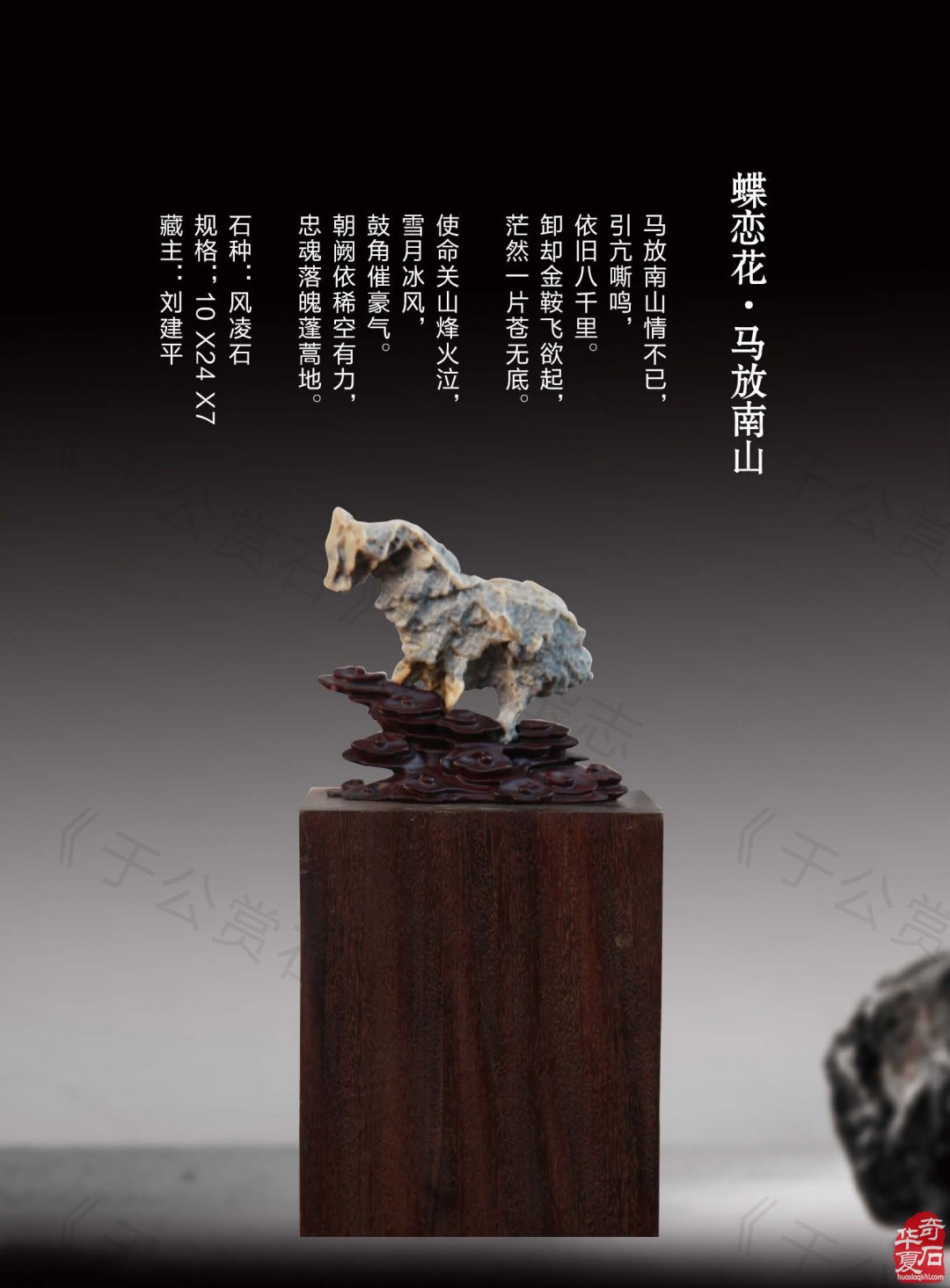 《于公赏石》力推石界默默耕耘的玩家藏家