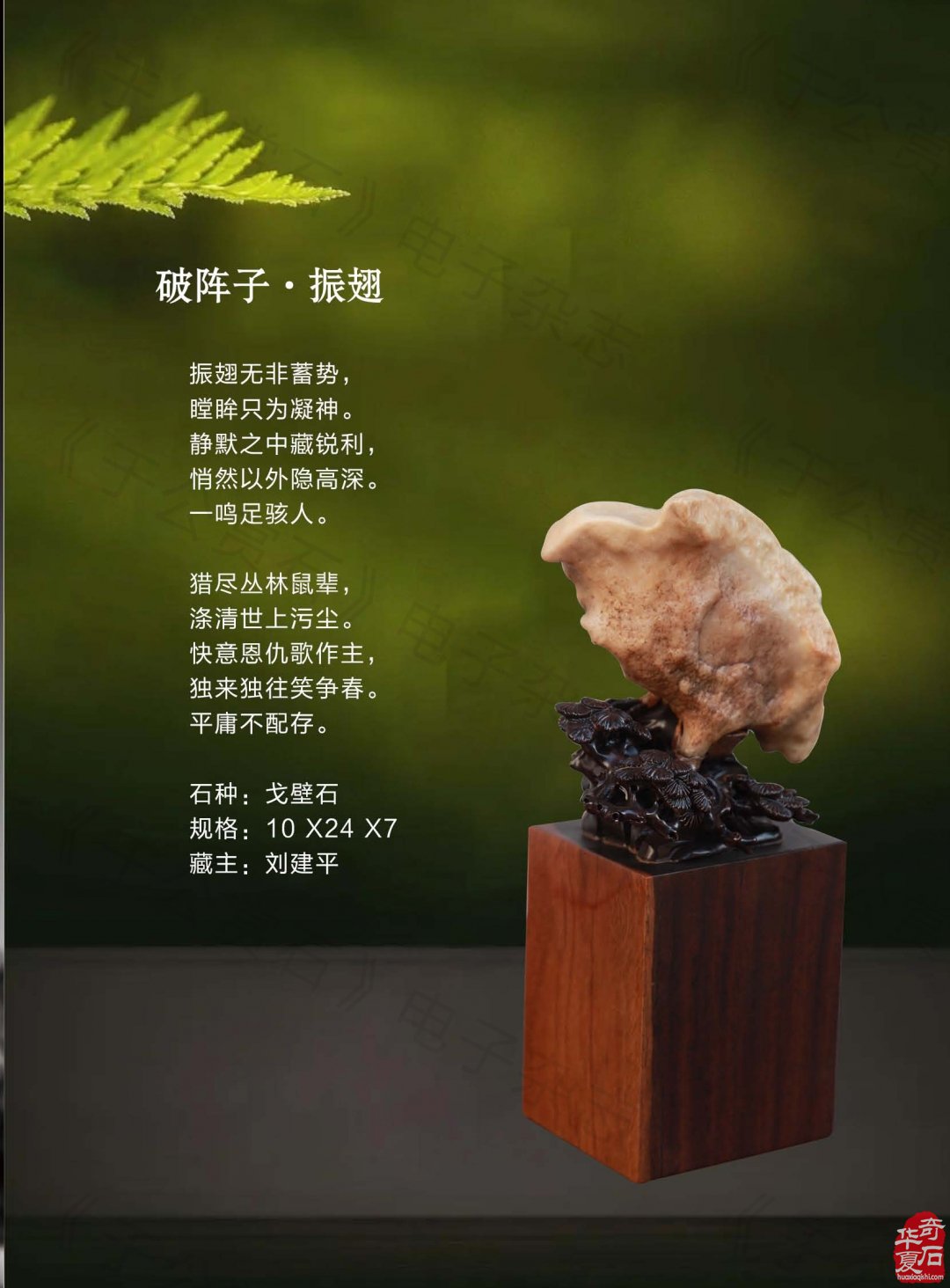 《于公赏石》力推石界默默耕耘的玩家藏家