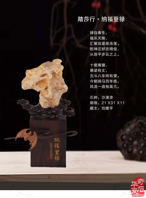 《于公赏石》力推石界默默耕耘的玩家藏家