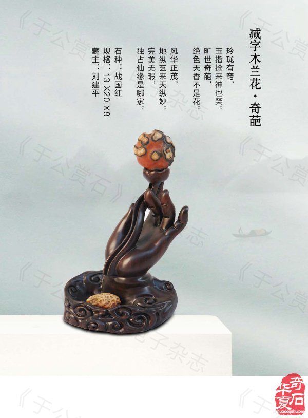 《于公赏石》力推石界默默耕耘的玩家藏家