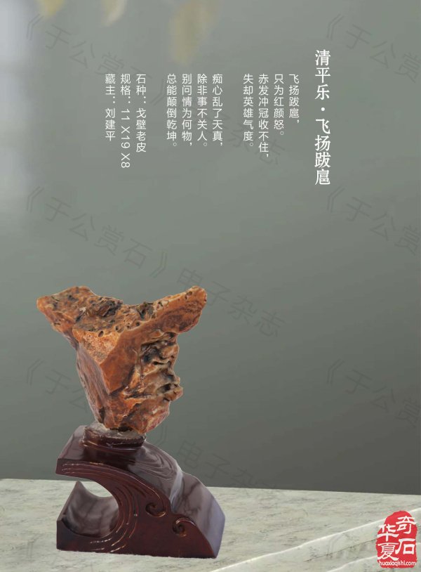 《于公赏石》力推石界默默耕耘的玩家藏家