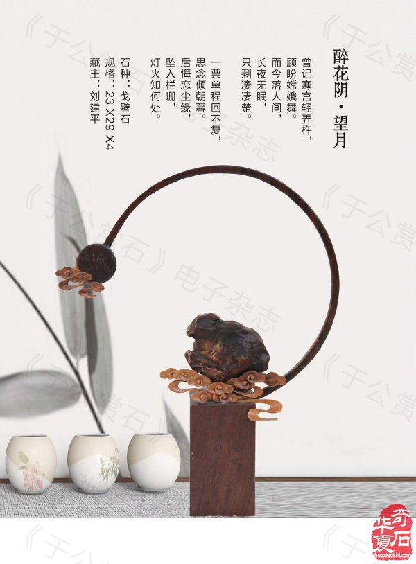 《于公赏石》力推石界默默耕耘的玩家藏家