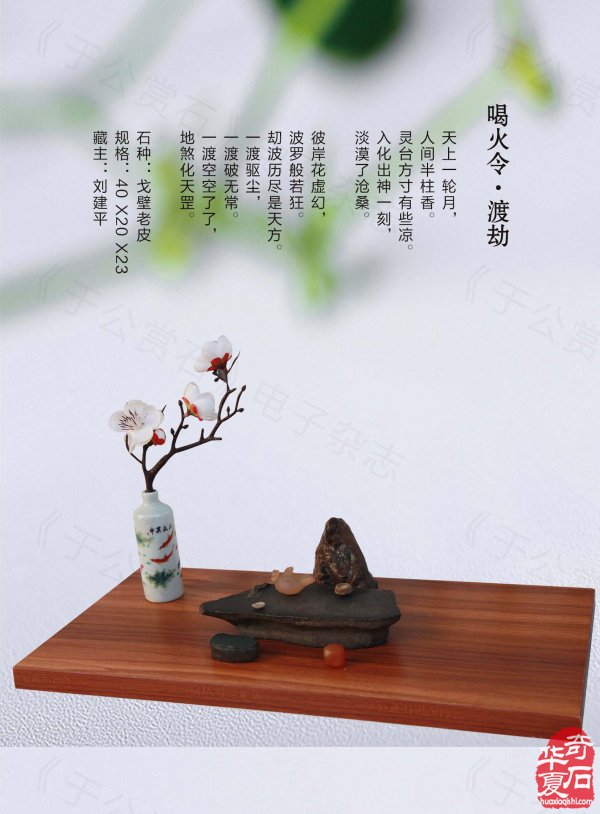 《于公赏石》力推石界默默耕耘的玩家藏家