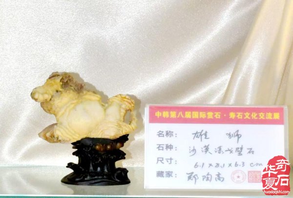 中韩第八届国际赏石展特金银奖抢先看