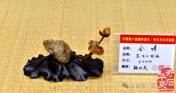 中韩第八届国际赏石展特金银奖抢先看