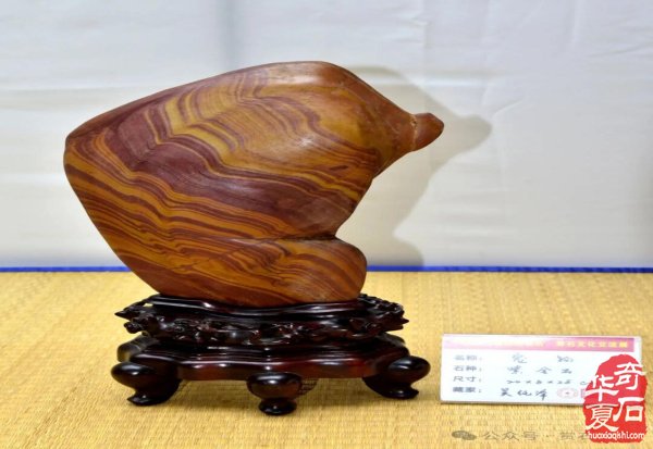中韩第八届国际赏石展特金银奖抢先看