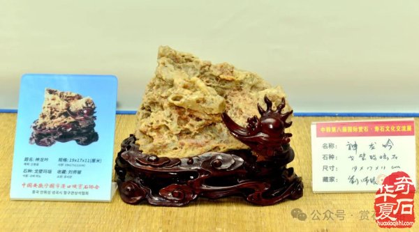 中韩第八届国际赏石展特金银奖抢先看