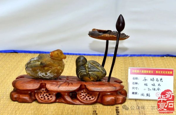 中韩第八届国际赏石展特金银奖抢先看