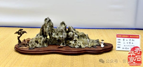 中韩第八届国际赏石展特金银奖抢先看