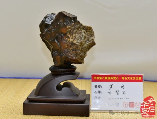 中韩第八届国际赏石展特金银奖抢先看