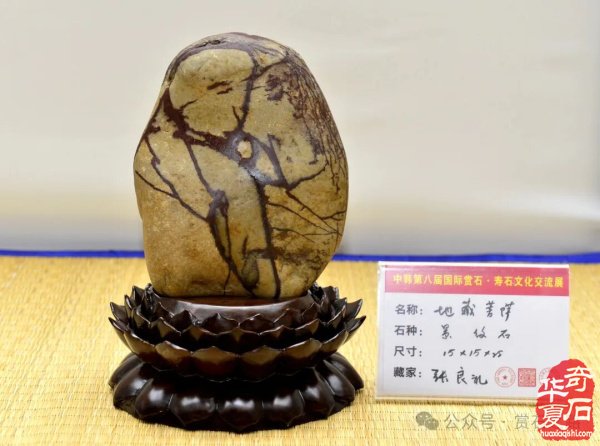 中韩第八届国际赏石展特金银奖抢先看