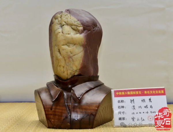 中韩第八届国际赏石展特金银奖抢先看