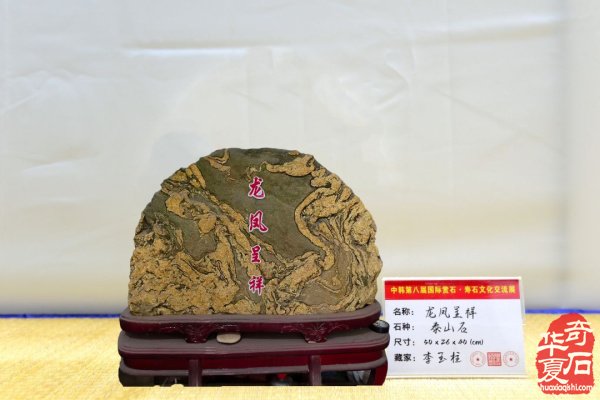中韩第八届国际赏石展特金银奖抢先看