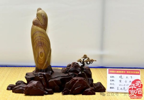 中韩第八届国际赏石展特金银奖抢先看