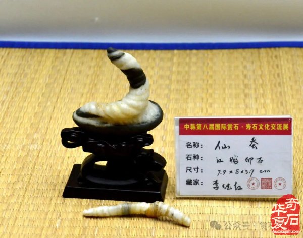 中韩第八届国际赏石展特金银奖抢先看