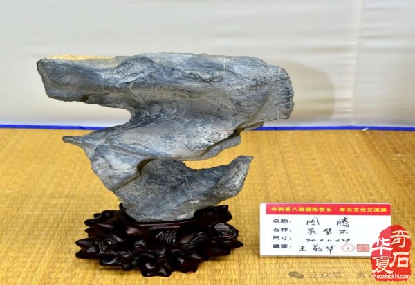 中韩第八届国际赏石展特金银奖抢先看