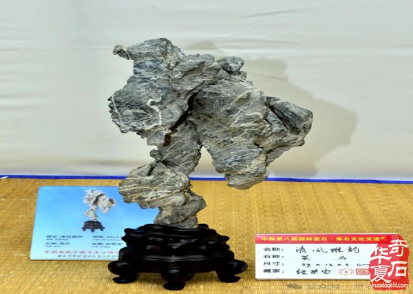 中韩第八届国际赏石展特金银奖抢先看