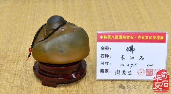 中韩第八届国际赏石展特金银奖抢先看