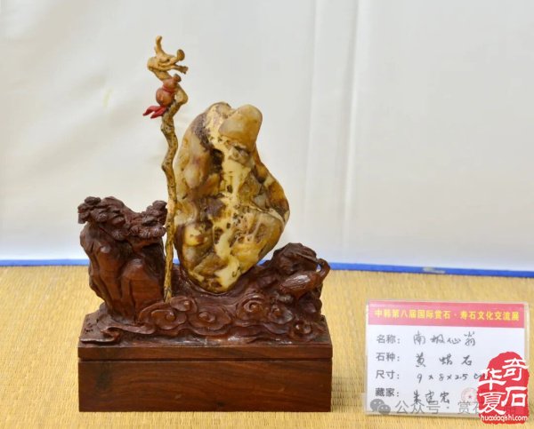 中韩第八届国际赏石展特金银奖抢先看