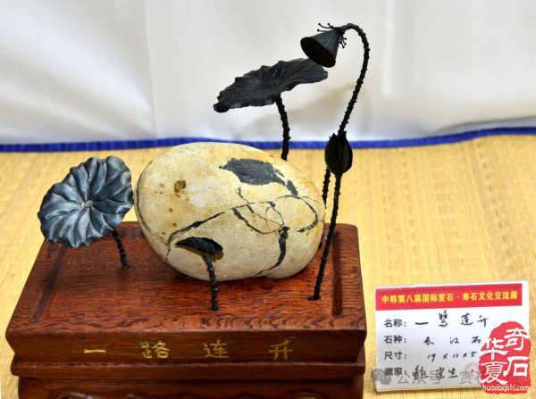 中韩第八届国际赏石展特金银奖抢先看