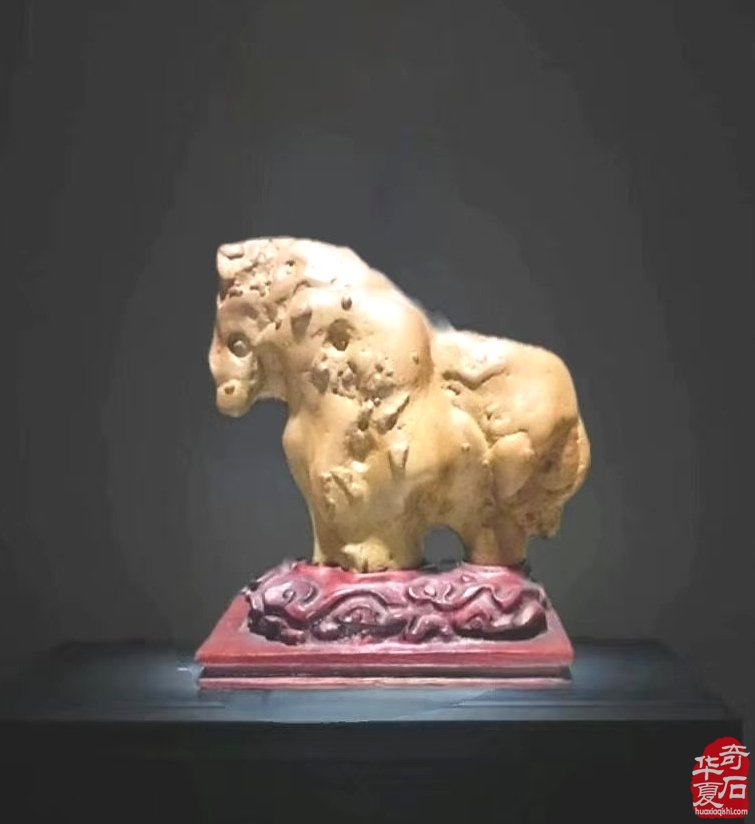 能随赏石活动走出国门今生无憾