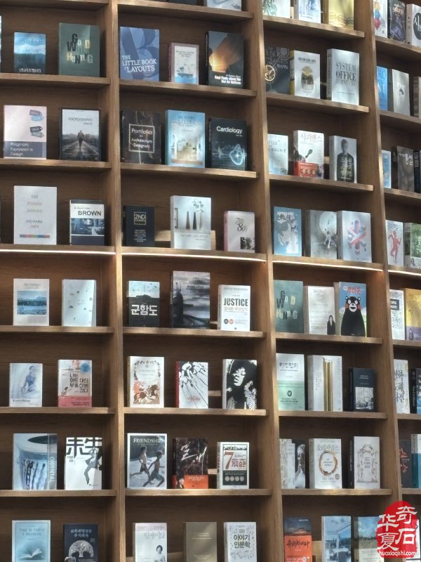 能随赏石活动走出国门今生无憾