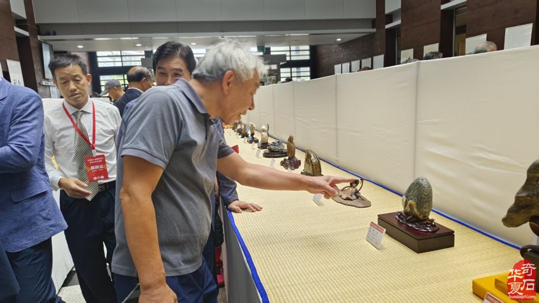 能随赏石活动走出国门今生无憾