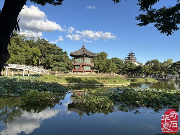 能随赏石活动走出国门今生无憾