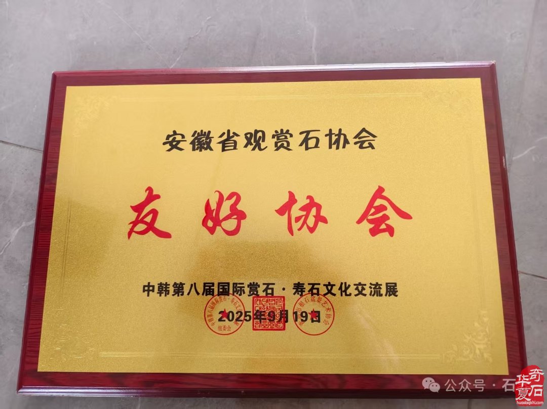 安徽赏石艺术作品跨洋赴韩谱写中韩文化交流新篇
