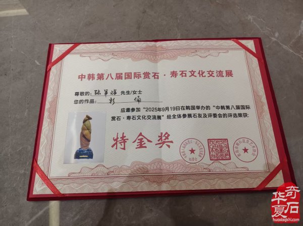 安徽赏石艺术作品跨洋赴韩谱写中韩文化交流新篇