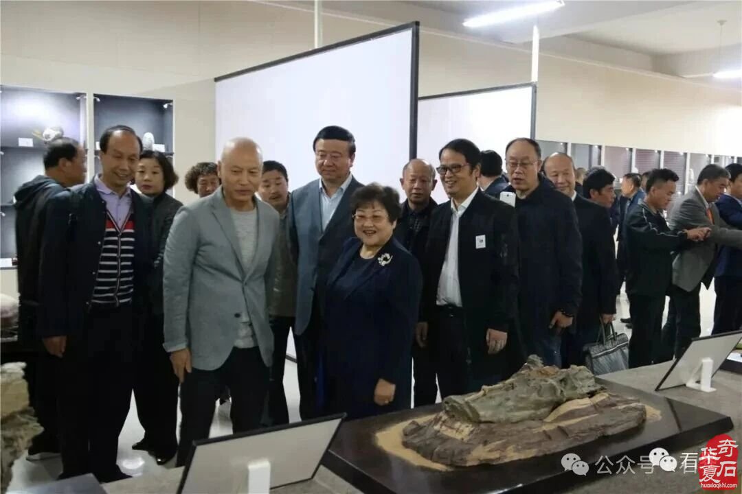 十大品牌展会中国赏石艺术“双十展”精彩回顾