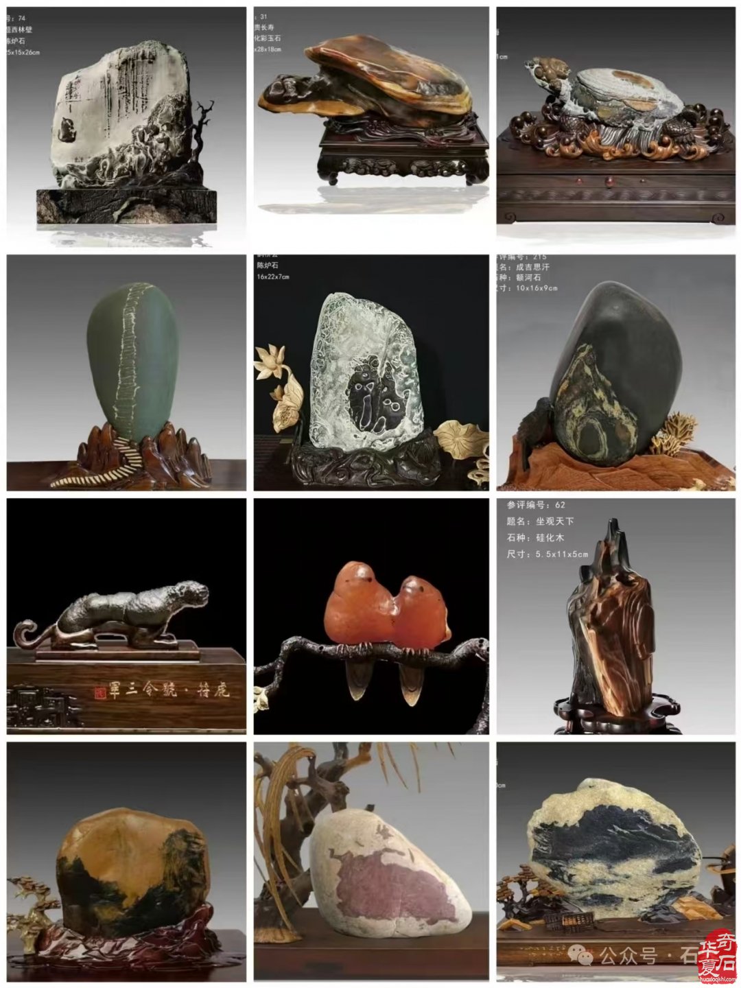 十大品牌展会中国赏石艺术“双十展”精彩回顾