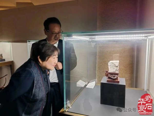 十大品牌展会中国赏石艺术“双十展”精彩回顾