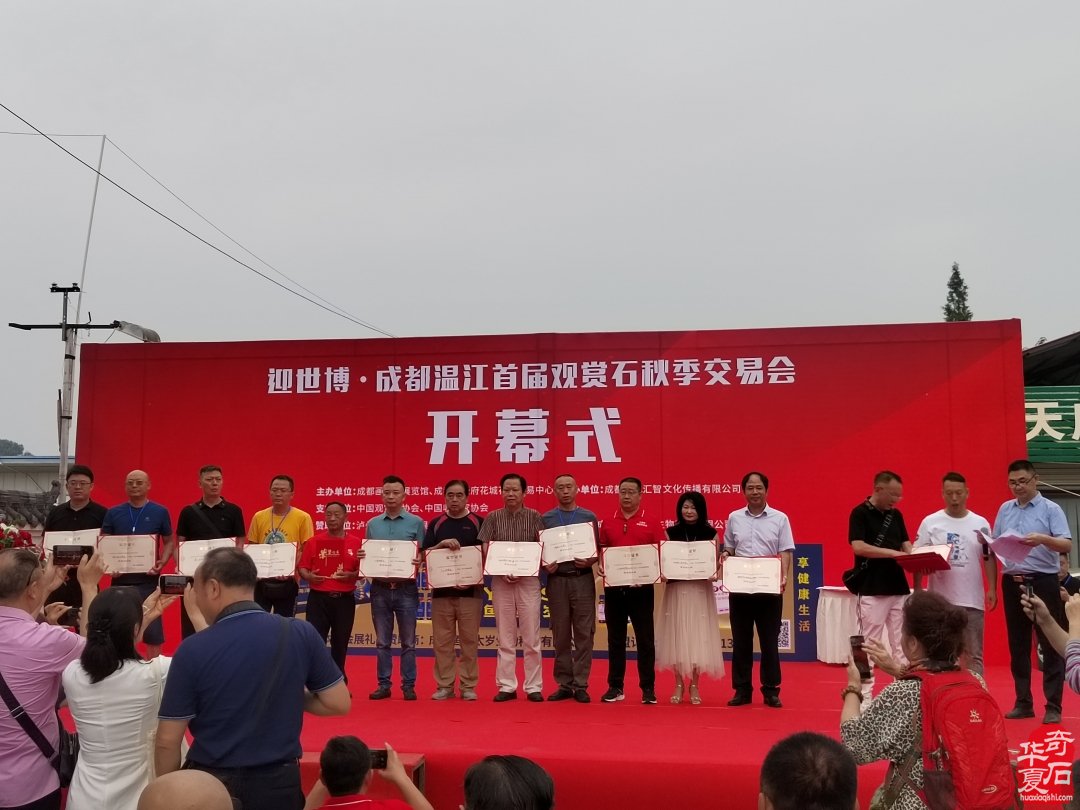 温江二十四届赏石文化博览会带来的思考