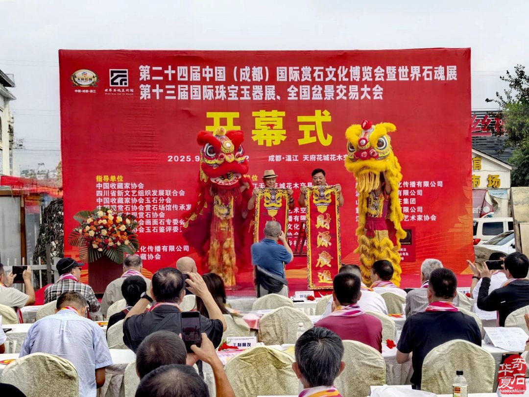 温江二十四届赏石文化博览会带来的思考