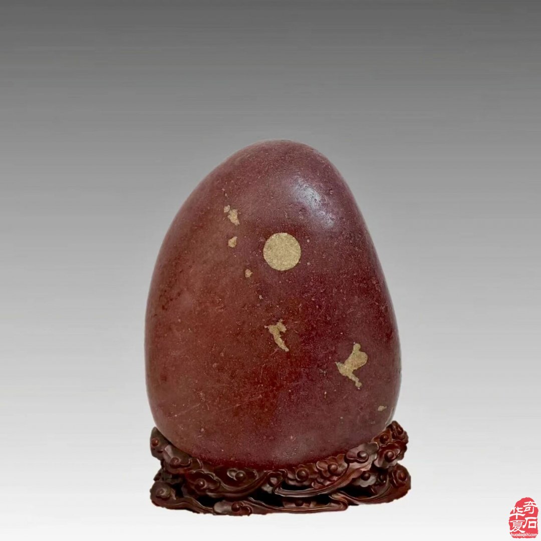 赏石人以独特的方式中秋赏月