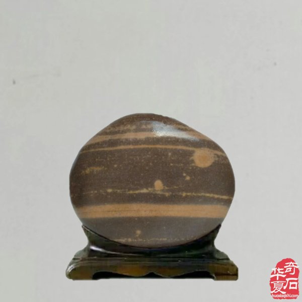 赏石人以独特的方式中秋赏月