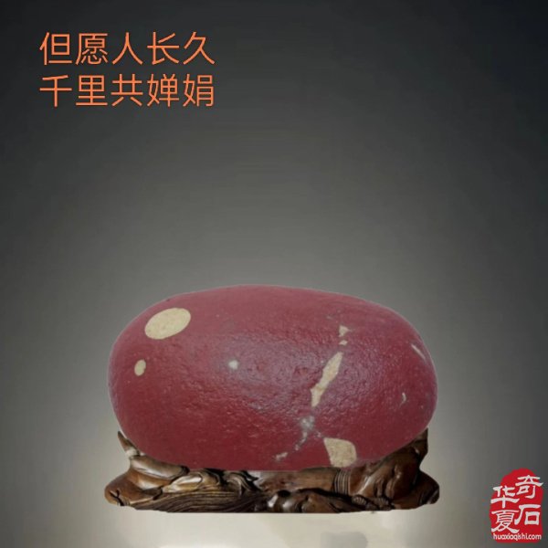 赏石人以独特的方式中秋赏月