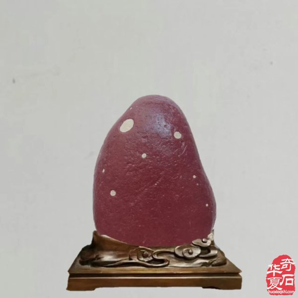 赏石人以独特的方式中秋赏月