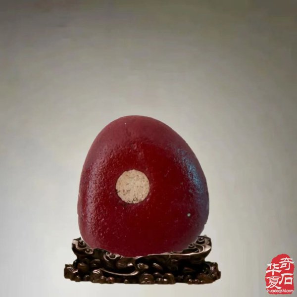 赏石人以独特的方式中秋赏月