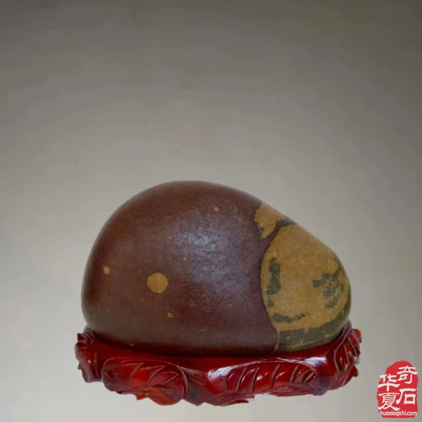 赏石人以独特的方式中秋赏月